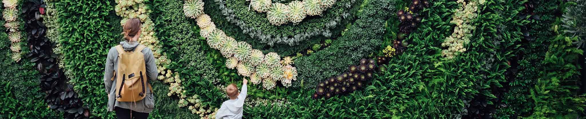 Succulent green wall, photo by Paul Hanaoka on Unsplash