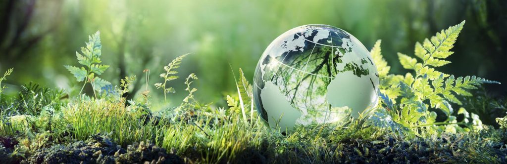 Sustainability Banner, plants and a glass sphere world