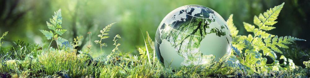 Sustainability Banner, plants and a glass sphere world