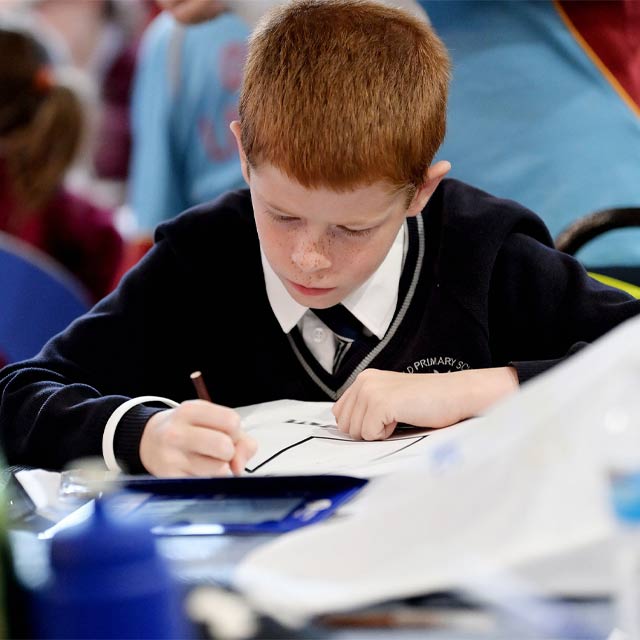 Primary school student studying